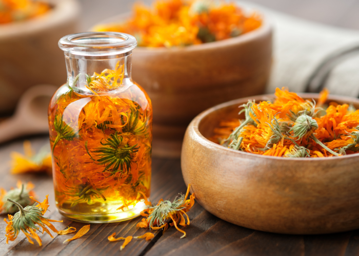 Nourish Your Skin with Calendula Oil