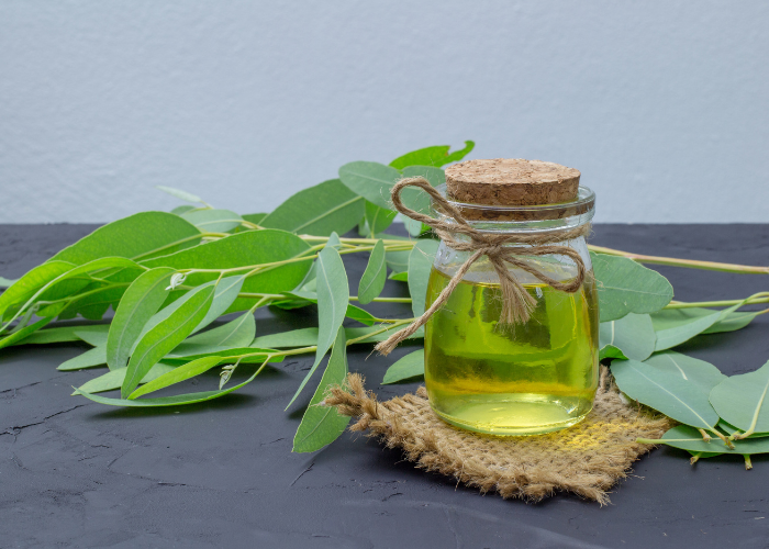 The Refreshing Benefits of Eucalyptus Oil for Your Skin